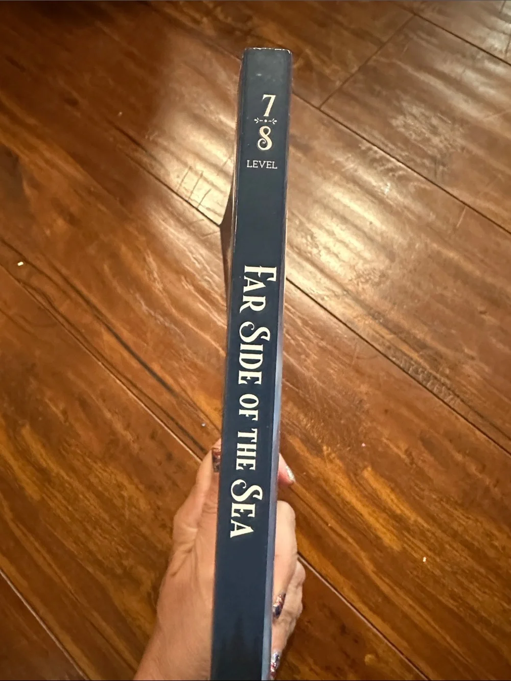 Far Side of the Sea Book 1  Burnworth TGATB Level 7-8 2026 Good & the Beautiful